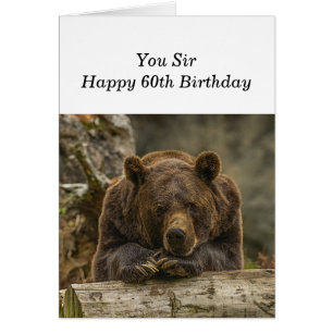 60th Over the Hill Serious Looking Grizzly Bear