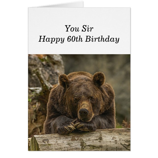 60th Over the Hill Serious Looking Grizzly Bear (Front)