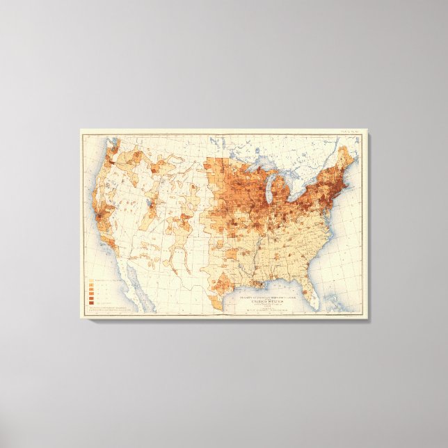 61 Density foreign born Canvas Print (Front)