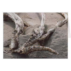 61. Support en bois d'Antler