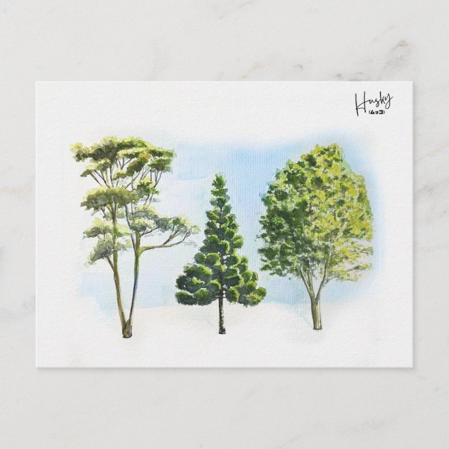 63; Australian trees Postcard (Front)