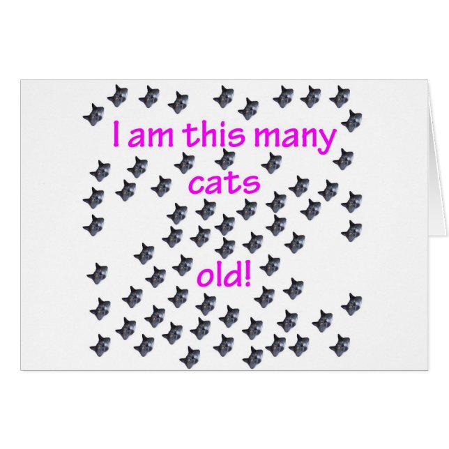 64 têtes de chat vieilles (Devant horizontal)