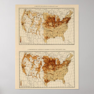 65 Natives Germany 1900 Poster