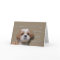 65th Birthday Dog