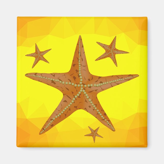 6616Starfish Magnet (Front)