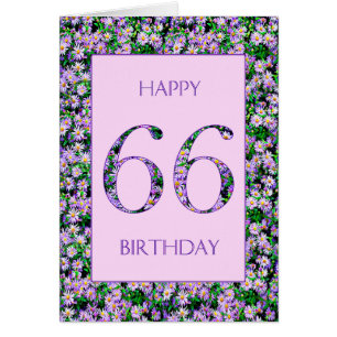 66th Birthday Purple Daisies