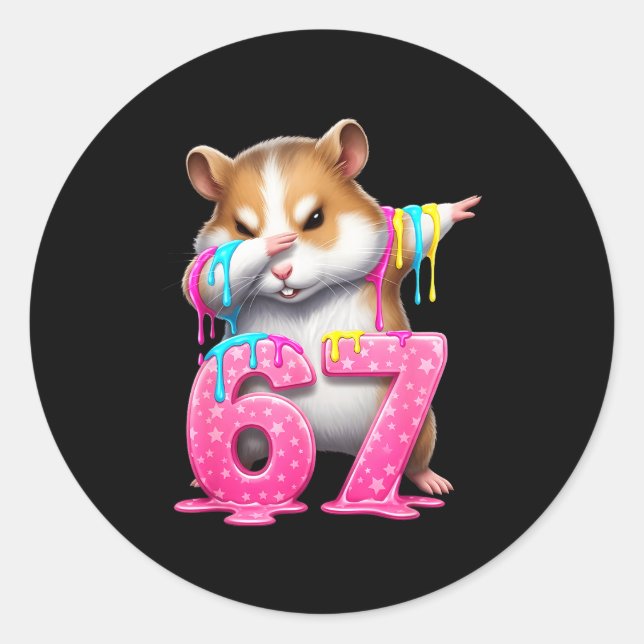 67 Animals Funny 67 Brainrot Youth Kids Hamster 67 Classic Round Sticker (Front)
