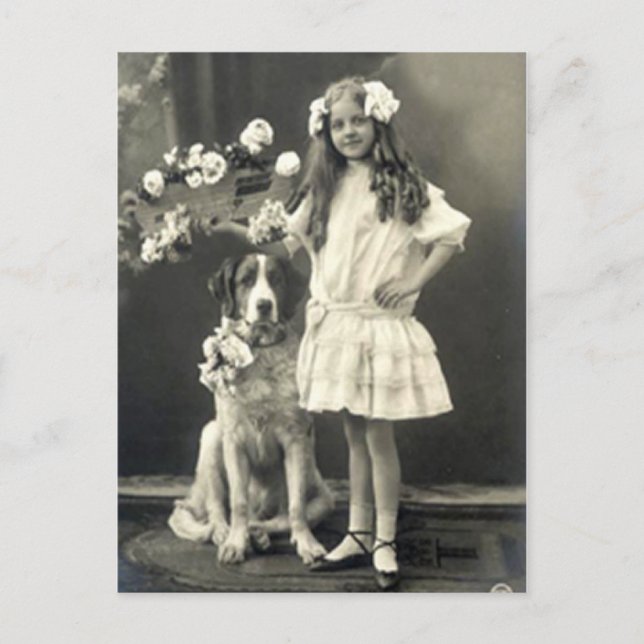 67 Animals Postcard (Front)