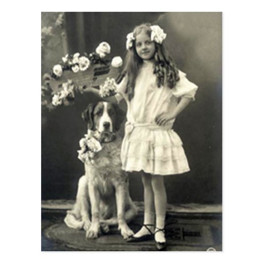67 Animals Postcard
