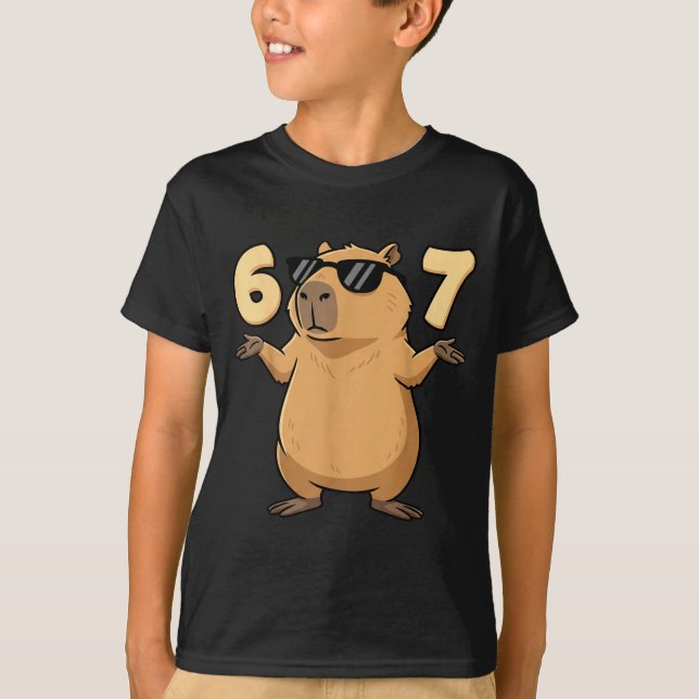 67 Capybara Meme 6 7 Aesthetic For Kids Young Adul T-Shirt (Front)