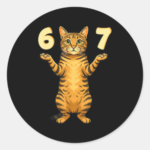 67 Cat Meme Funny Gen Alpha Slang Humor For Teens  Classic Round Sticker