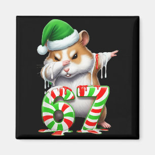 67 Christmas Funny 67 Brainrot Youth Kids Hamster  Magnet