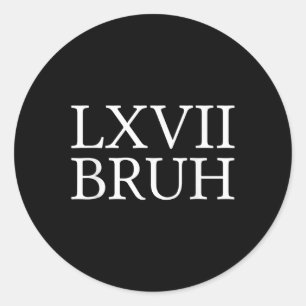 67 History Meme Six Seven Bruh Funny History Teach Classic Round Sticker