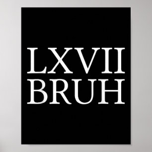 67 History Meme Six Seven Bruh Funny History Teach Poster