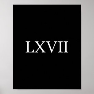 67 History Meme Six Seven Historian Funny History  Poster