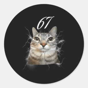 67 Meme Cat Howling At Moon Brainrot Funny 6 7  Classic Round Sticker