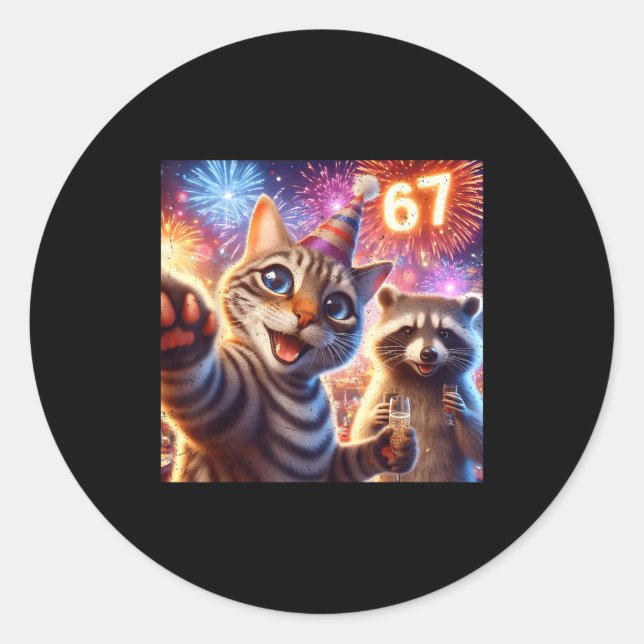 67 Meme Cat Raccoon New Year Selfie Funny Birthday Classic Round Sticker (Front)