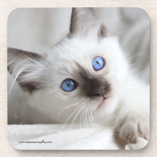 6 Balinese Hard Plastic coasters with cork back