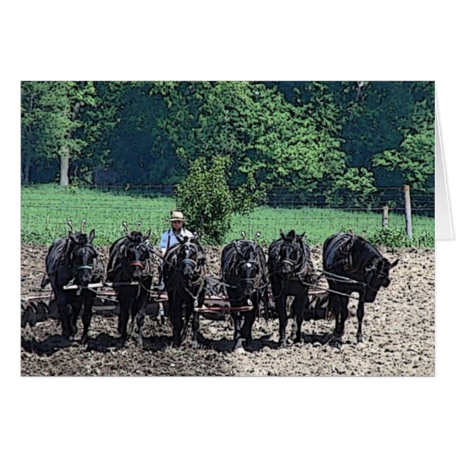 6 Beaux Chevaux de Brouillon au travail, toutes le (Devant horizontal)