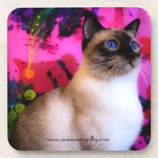 6 dessous de verre en plastique dur de Siamese ave