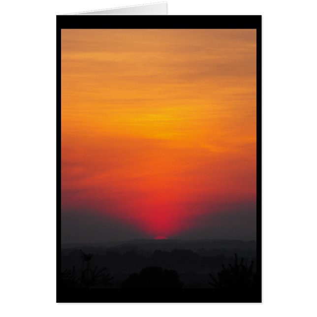 ~ 6 d'été (Devant)