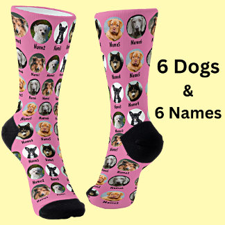 6 Dogs, 6 Names, Dog Photo - Personalized Pink Socks
