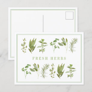 6 FRESH HERBS Postcard