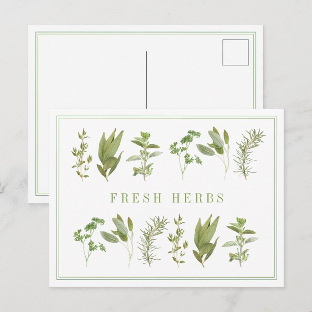 6 FRESH HERBS Postcard  (Front/Back)