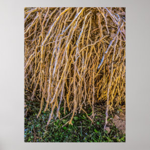 6 Imprimé, Poster Papier (Semi-Gloss)