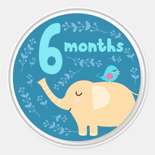6 Month Baby Milestone Classic Round Sticker (Front)