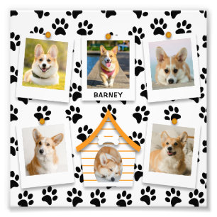 6 Photo Collage Chien Nom de la maison Photo Élarg