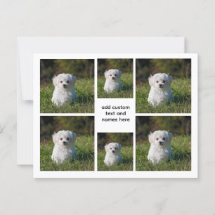 6 Photo Collage – White Grid Aesthetic, Minimal Postcard