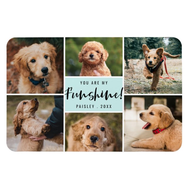 6 Photo Collage You Are My Funshine | Aqua Pet Magnet (Horizontal)