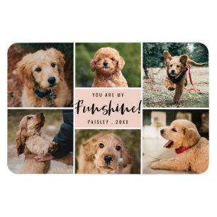 6 Photo Collage You Are My Funshine Peach Pet Magnet