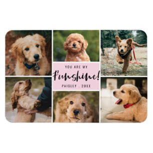 6 Photo Collage You Are My Funshine Pink Pet Magnet