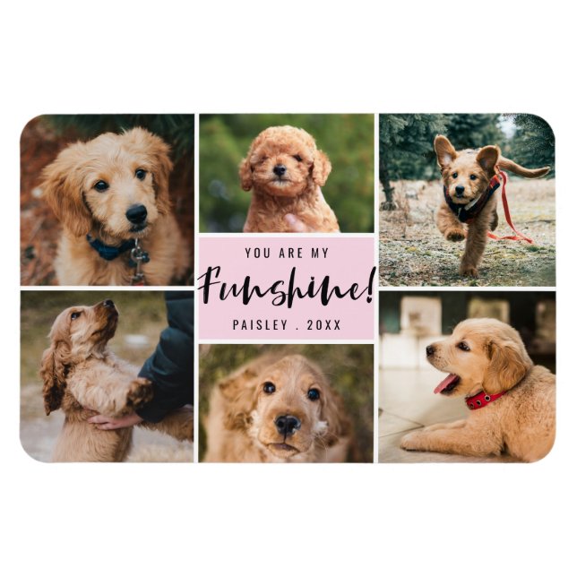 6 Photo Collage You Are My Funshine | Pink Pet Magnet (Horizontal)