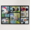 6 Photo Jumbo Customized Image Family Collage