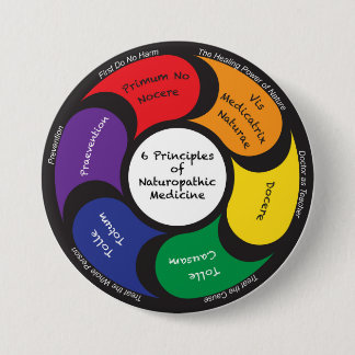 6 Principles of Naturopathic Medicine - Button