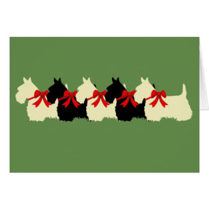 6 Scottish Terrier noir/blanc, arc/blanc