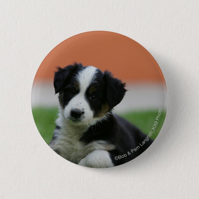 6 Week Old Border Collie 2 Inch Round Button (Front)