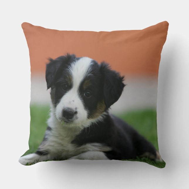 6 Week Old Border Collie Throw Pillow (Front)