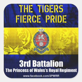 6 x 3PWRR Square Stickers