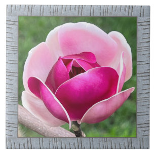 6"x 6" Ceramic Tile with Gorgeous Magenta Magnolia
