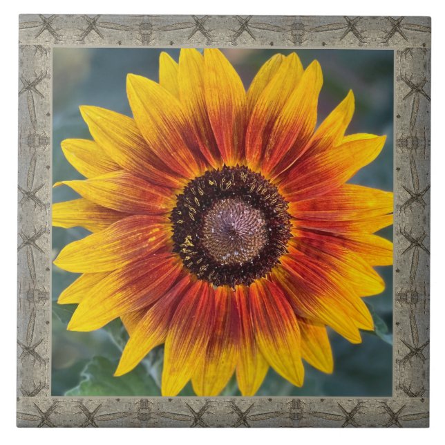 6"x 6" Ceramic Tile with Susie's Sunflower (Front)