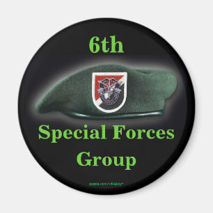 6th special forces green berets vietnam magnet