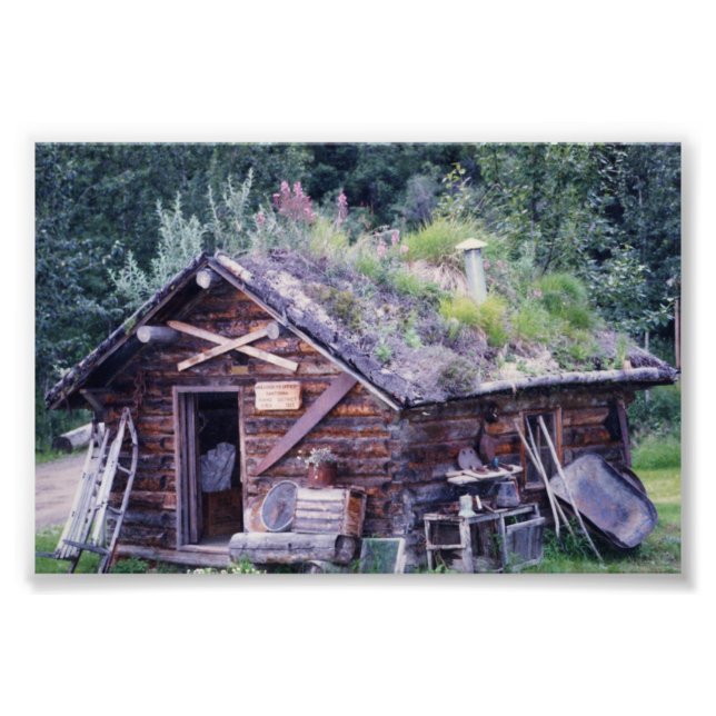 6x4 photo at Denali (Front)