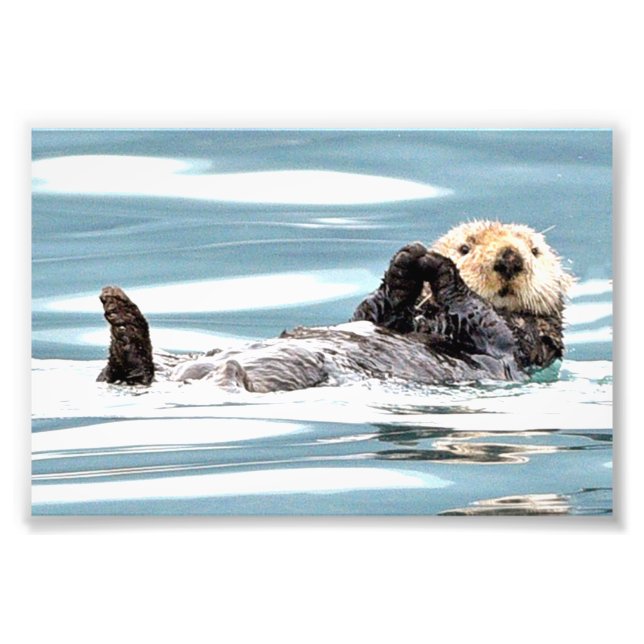 6x4 photo of otters print (Front)