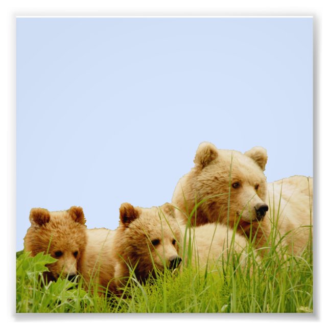 6x6  Kodak Professional Photo Paper (Satin) (Front)