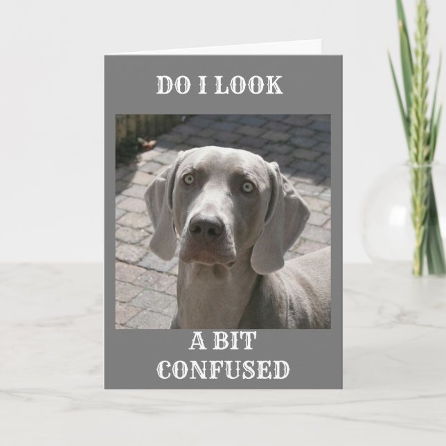 "70" HOW CAN IT BE SAYS WEIMARANER CARD (Front)