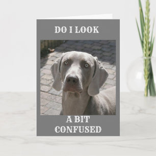 "70" HOW CAN IT BE SAYS WEIMARANER CARD